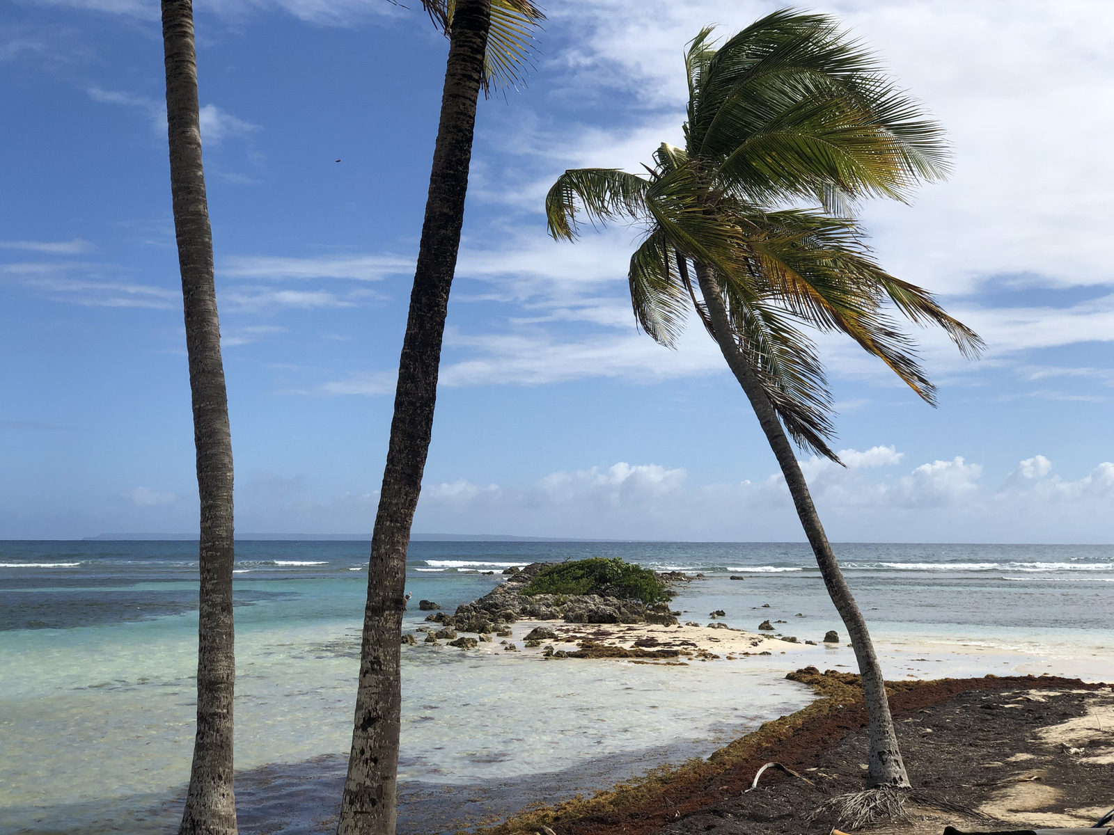 Picture Guadeloupe La Caravelle Beach 2021-02 65 - View La Caravelle Beach