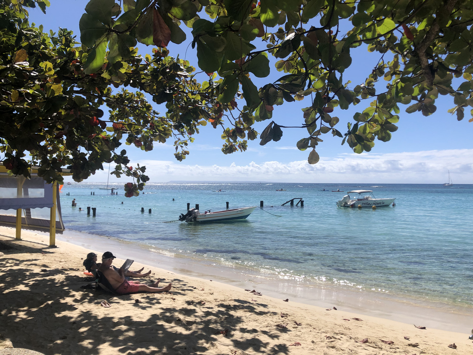 Picture Guadeloupe Sainte Anne 2021-02 42 - Photographer Sainte Anne