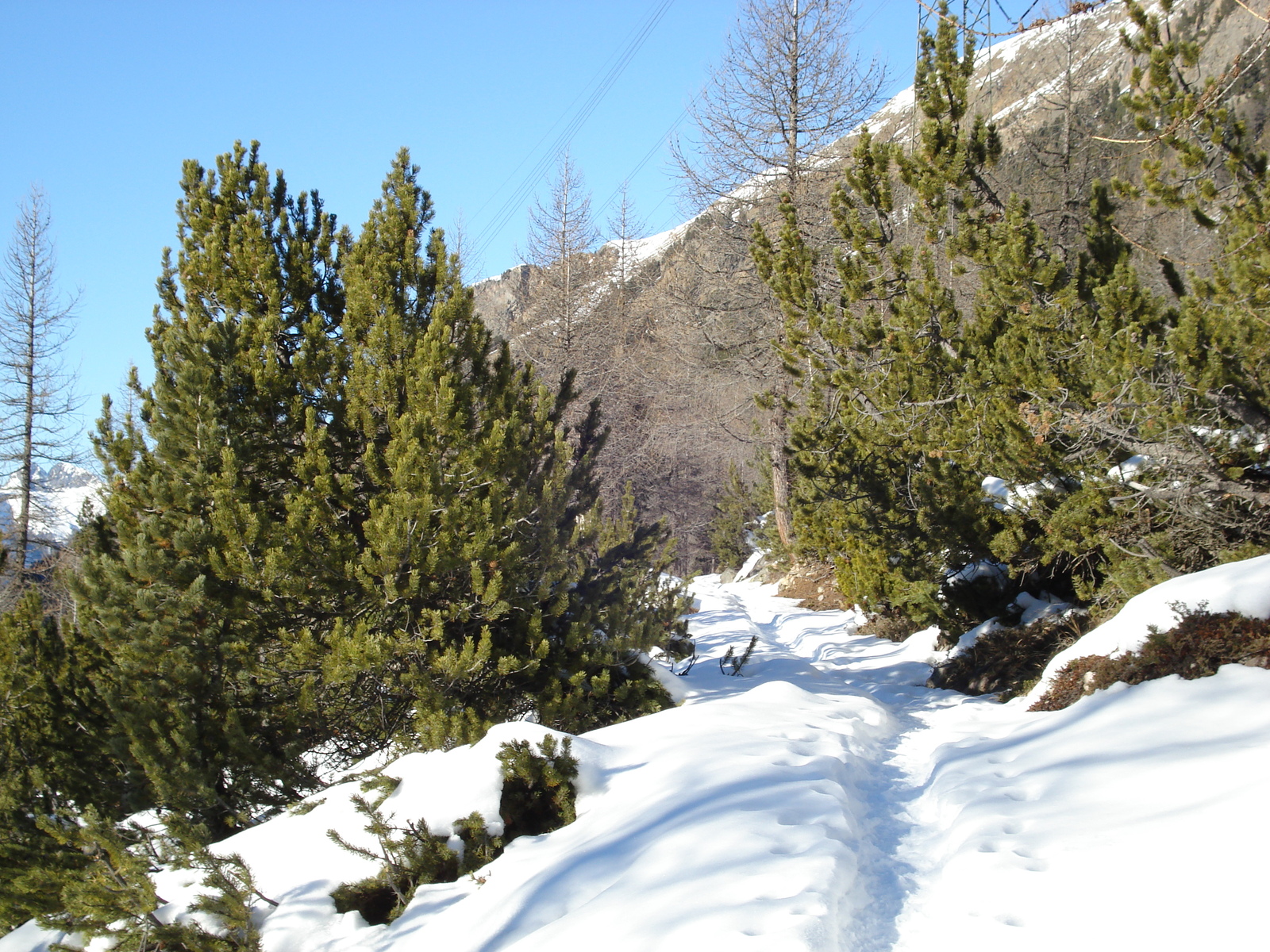 Picture Swiss From Pontresina to Lago Bianco 2007-01 1 - Photographers From Pontresina to Lago Bianco