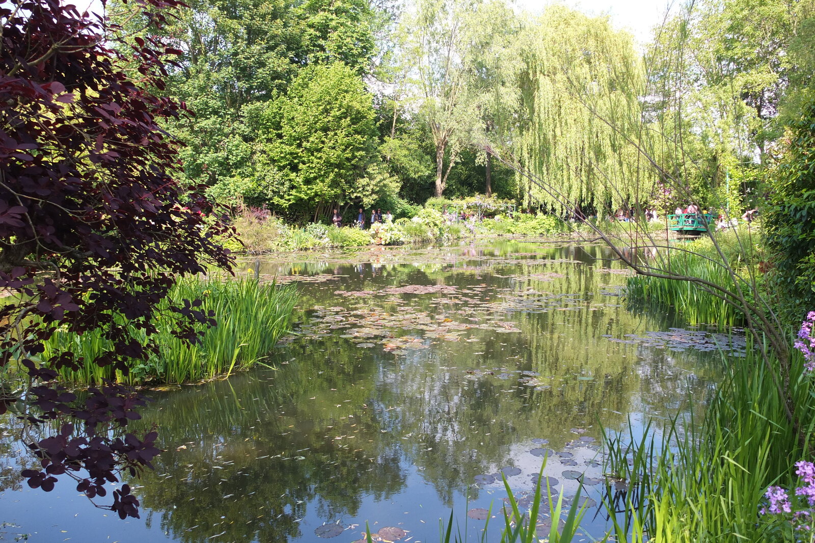 Picture France Giverny 2013-06 44 - Photo Giverny