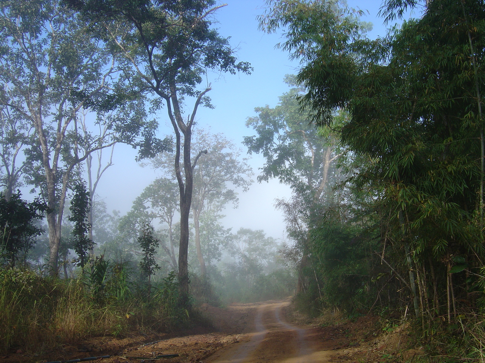 Picture Thailand Pang ma pha 2005-12 4 - Journey Pang ma pha