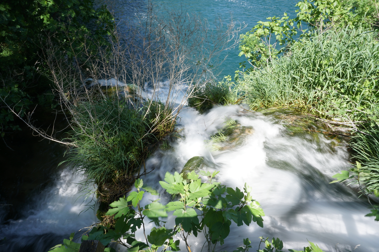 Picture Croatia Krka National Park 2016-04 101 - Sightseeing Krka National Park