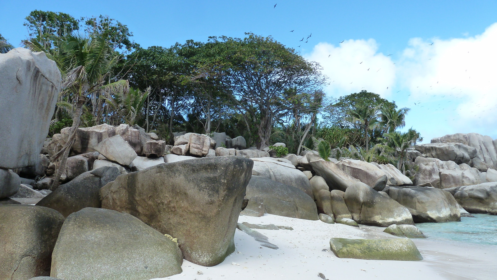 Picture Seychelles Coco Island 2011-10 85 - Journey Coco Island