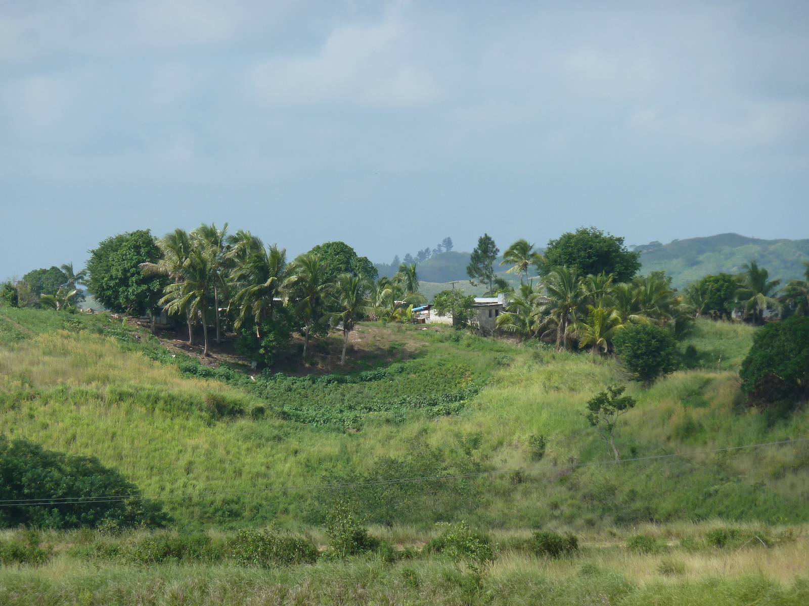 Picture Fiji Nadi to Natadola road 2010-05 21 - Sightseeing Nadi to Natadola road