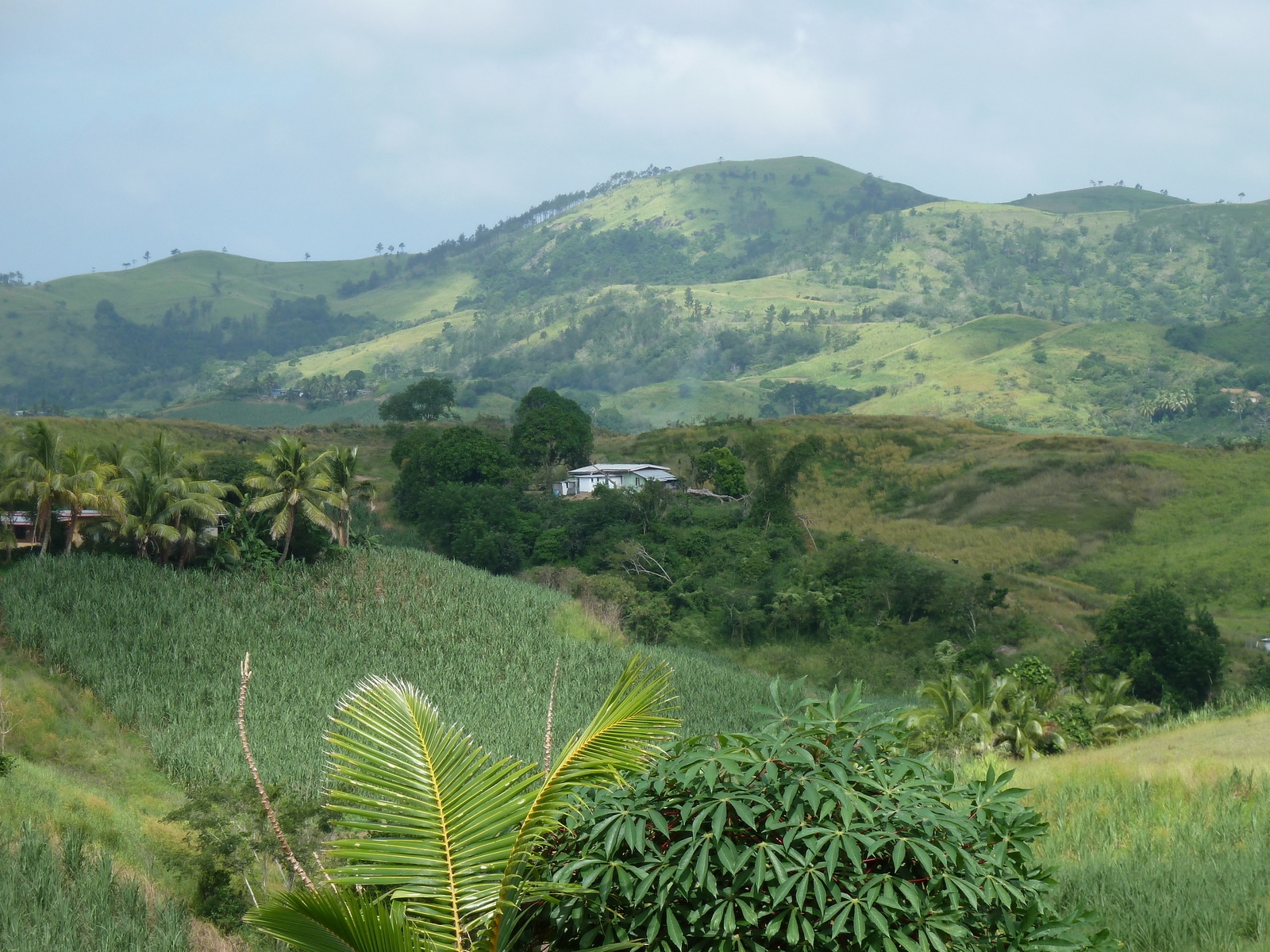 Picture Fiji Nadi to Natadola road 2010-05 8 - View Nadi to Natadola road