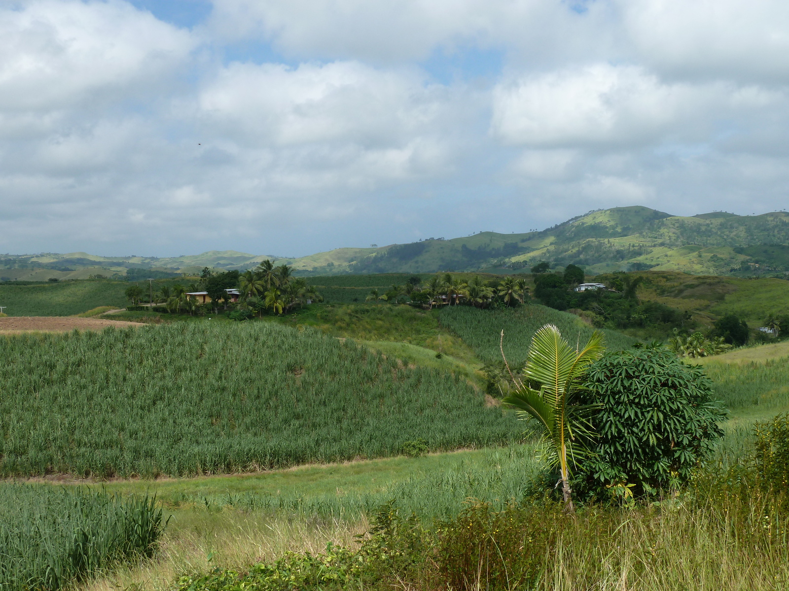 Picture Fiji Nadi to Natadola road 2010-05 9 - View Nadi to Natadola road