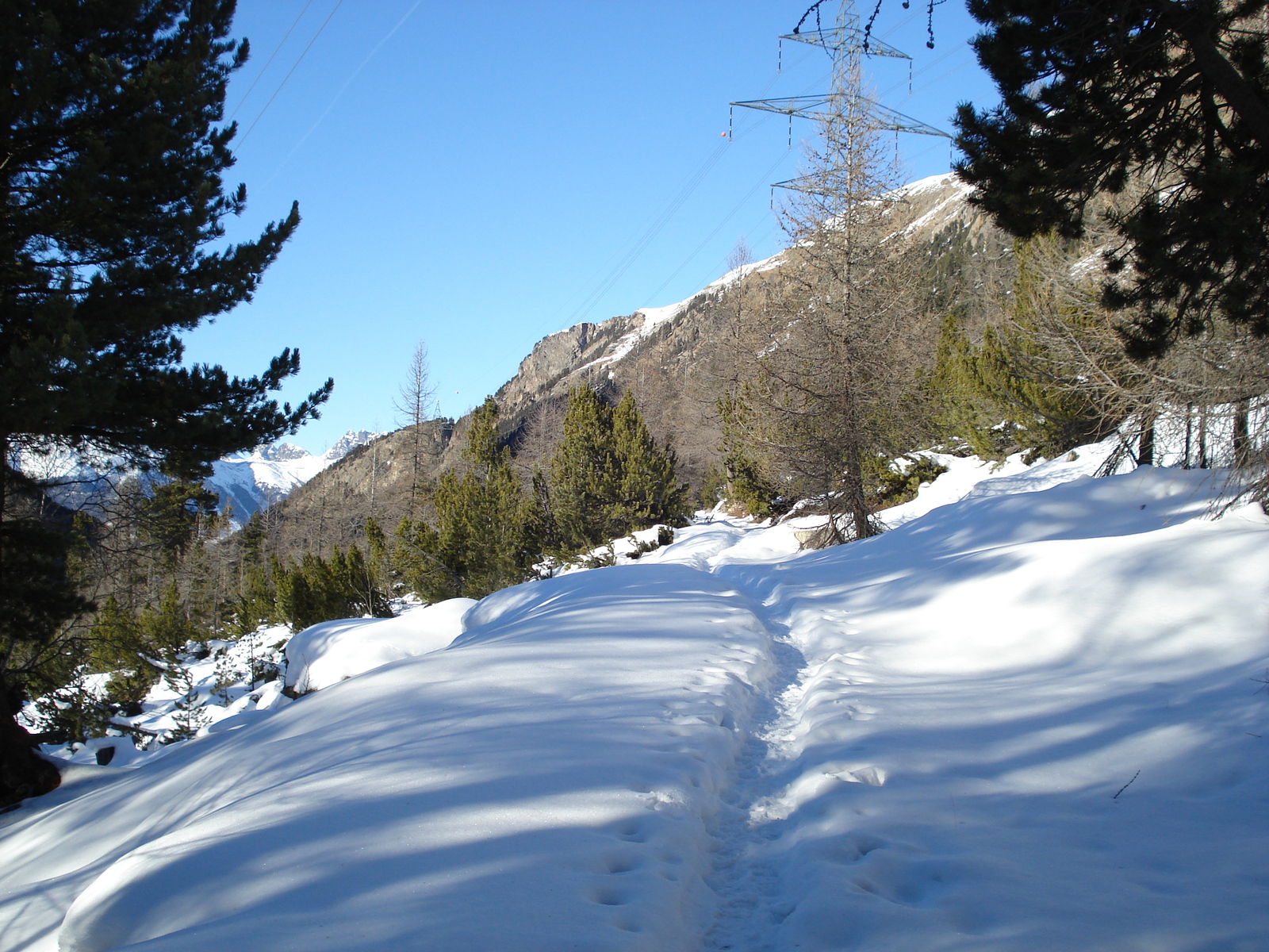 Picture Swiss From Pontresina to Lago Bianco 2007-01 51 - Views From Pontresina to Lago Bianco