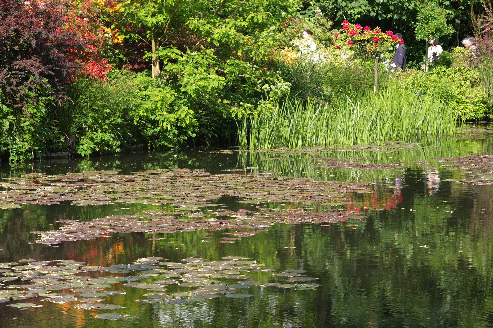 Picture France Giverny 2013-06 84 - Sight Giverny