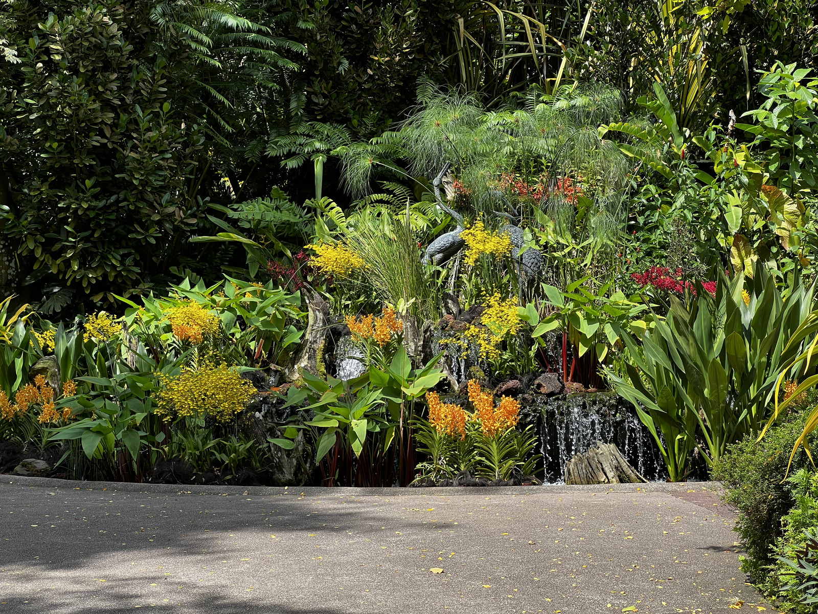 Picture Singapore Singapore Botanic Gardens 2023-01 50 - Sight Singapore Botanic Gardens