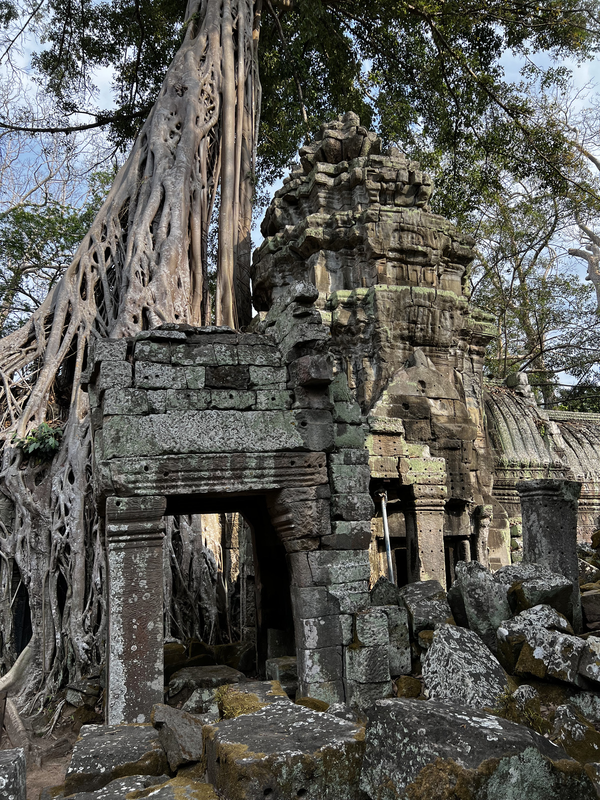 Picture Cambodia Siem Reap Ta Prohm 2023-01 152 - Travel Ta Prohm