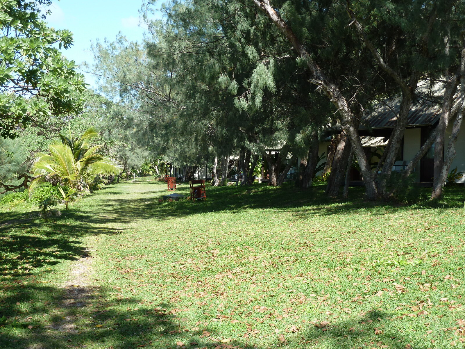 Picture New Caledonia Lifou Drehu Village Hotel 2010-05 31 - Pictures Drehu Village Hotel