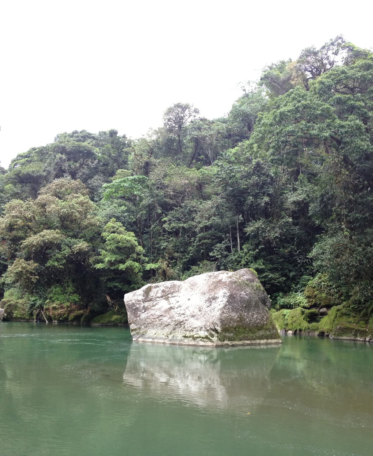 Picture Costa Rica Pacuare River 2015-03 214 - Perspective Pacuare River