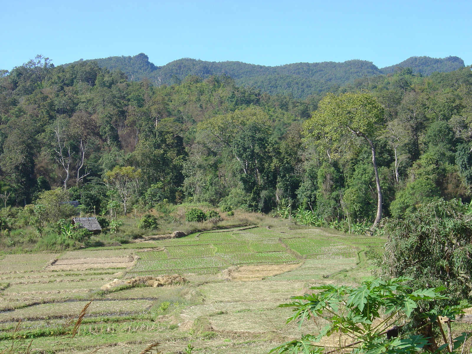 Picture Thailand Pang ma pha 2005-12 12 - Visit Pang ma pha