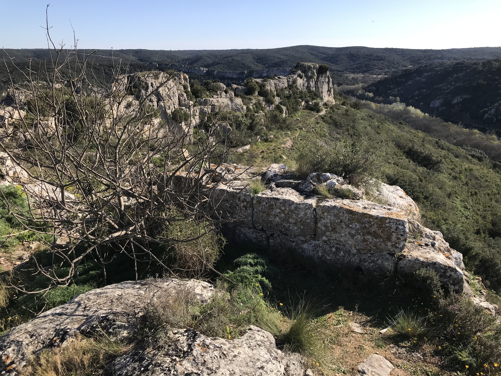 Picture France Nimes 2021-05 11 - Pictures Nimes