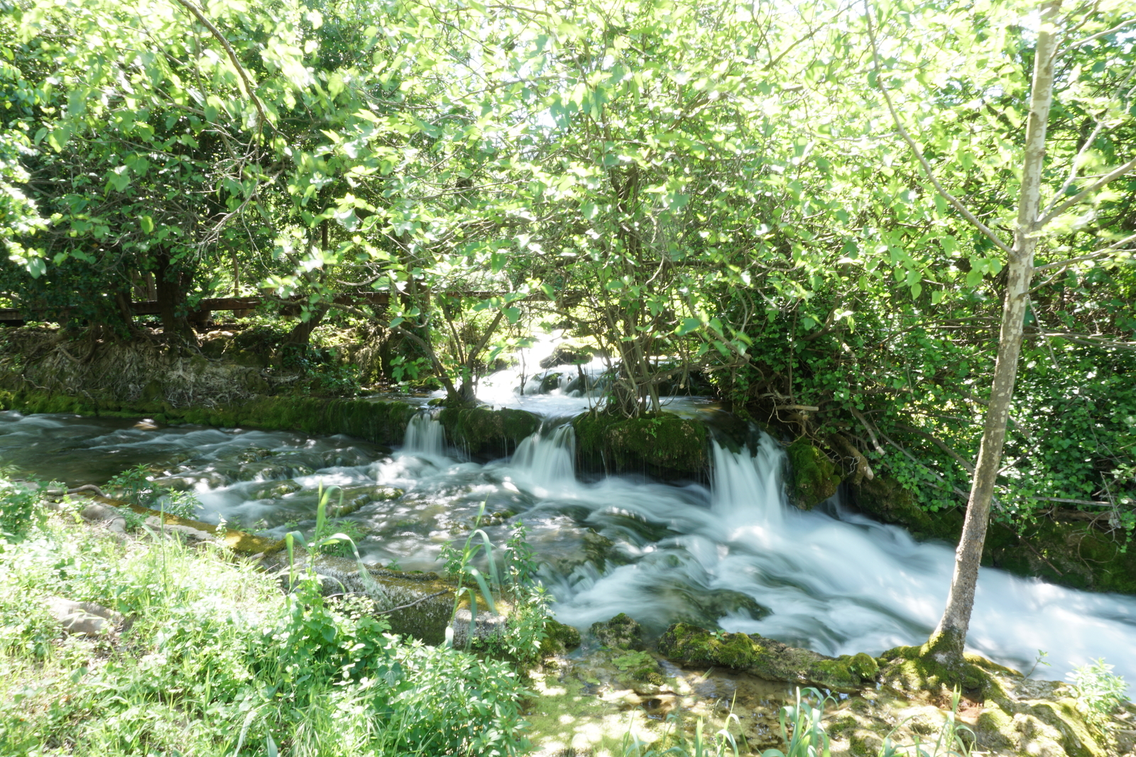 Picture Croatia Krka National Park 2016-04 47 - Picture Krka National Park