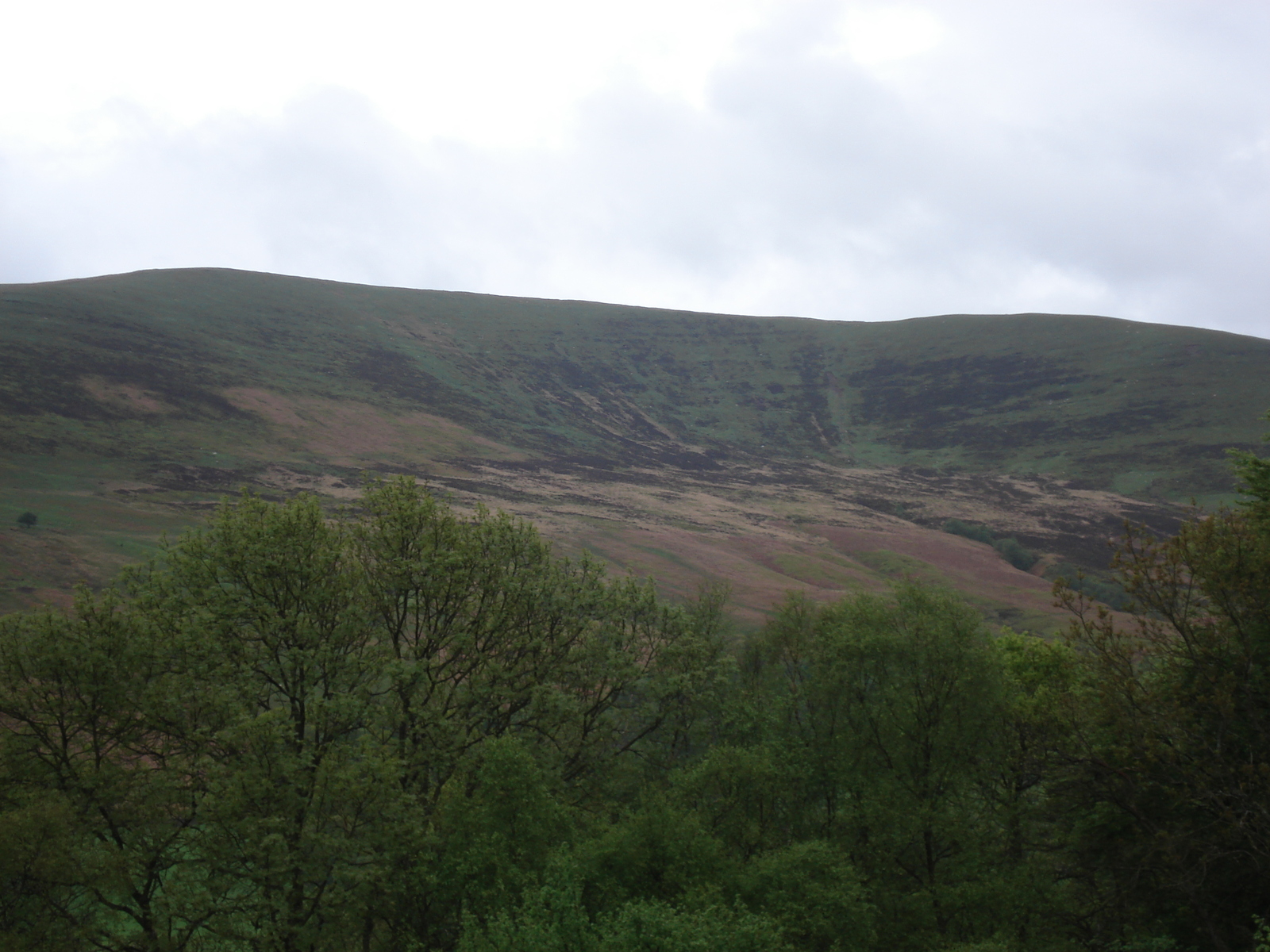 Picture United Kingdom Brecon Beacons National Parc 2006-05 104 - Road Brecon Beacons National Parc