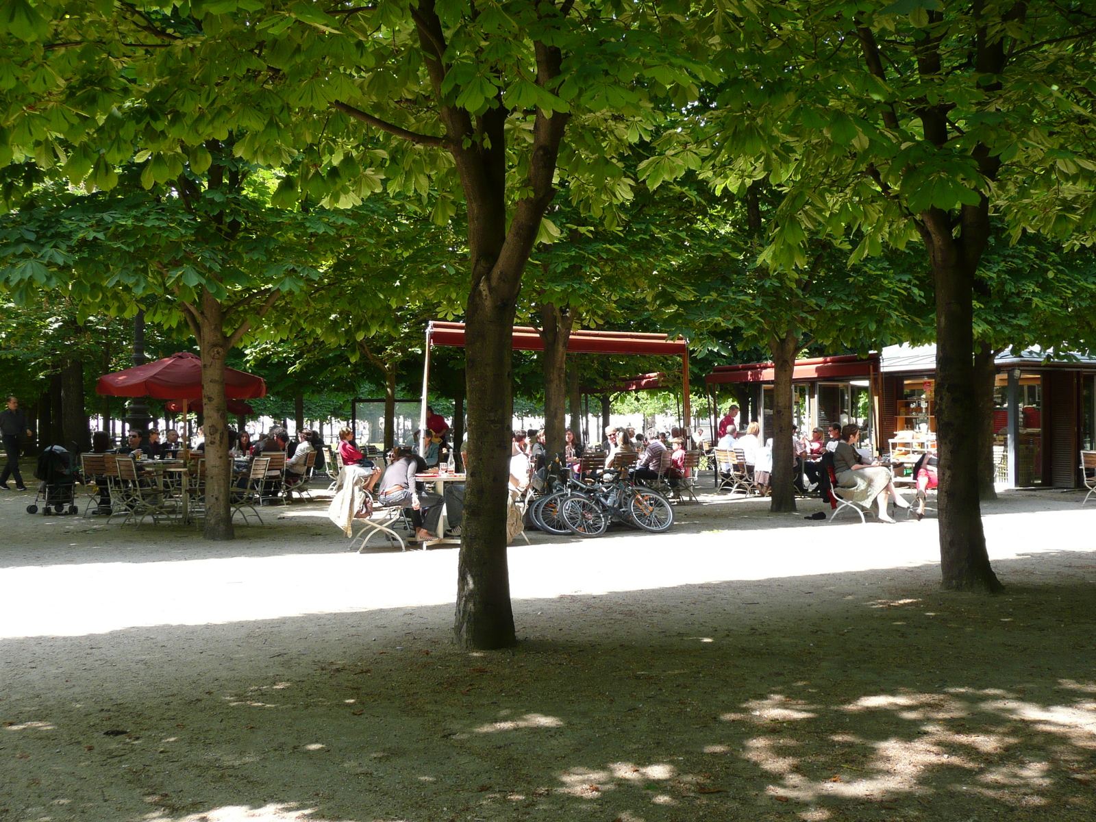 Picture France Paris Garden of Tuileries 2007-05 316 - Visit Garden of Tuileries