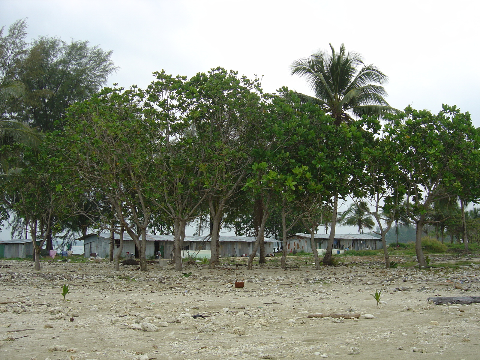 Picture Thailand Khao Lak Bang Sak Beach 2005-12 2 - Sight Bang Sak Beach