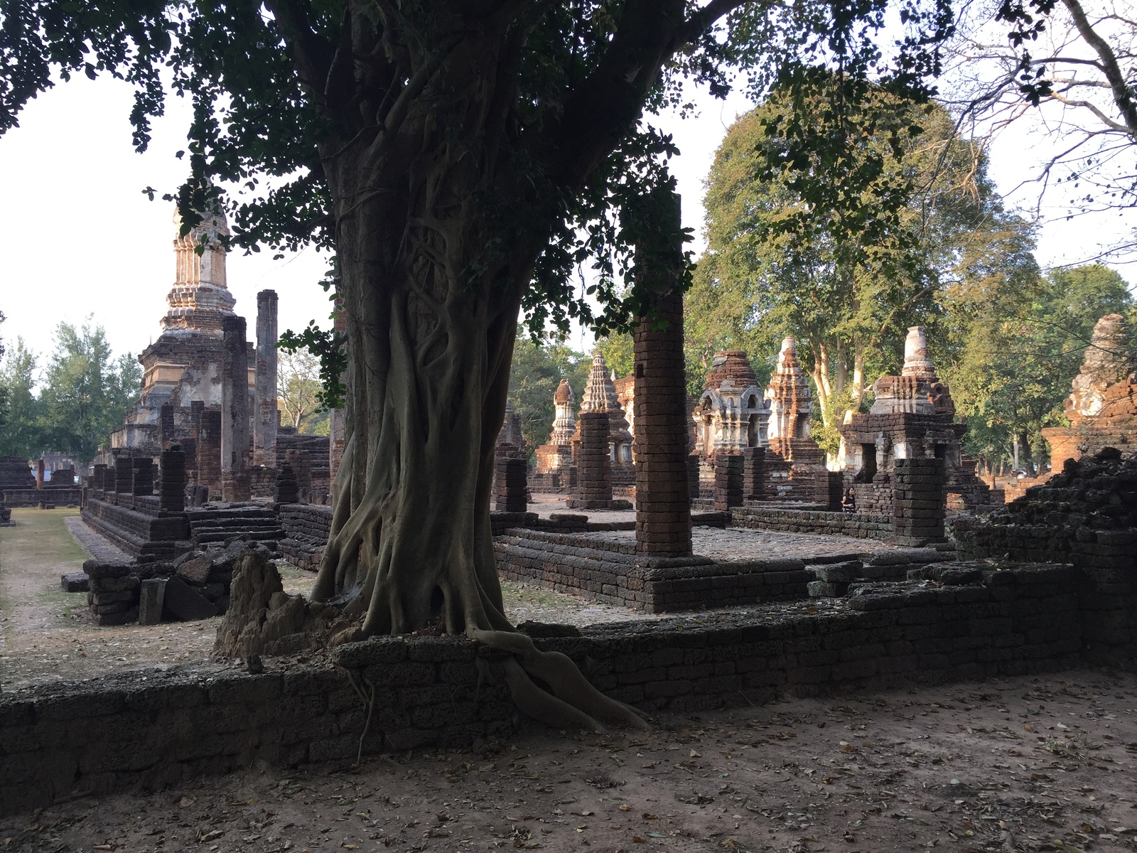 Picture Thailand Si satchanalai historical park 2014-12 138 - Car Si satchanalai historical park