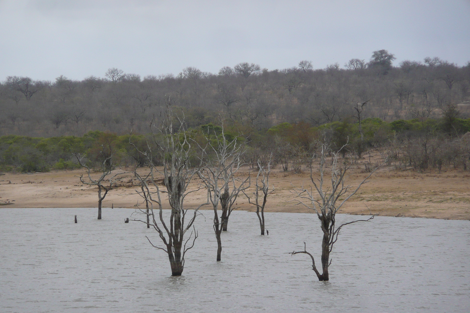 Picture South Africa Kruger National Park Mpondo 2008-09 2 - Road Mpondo