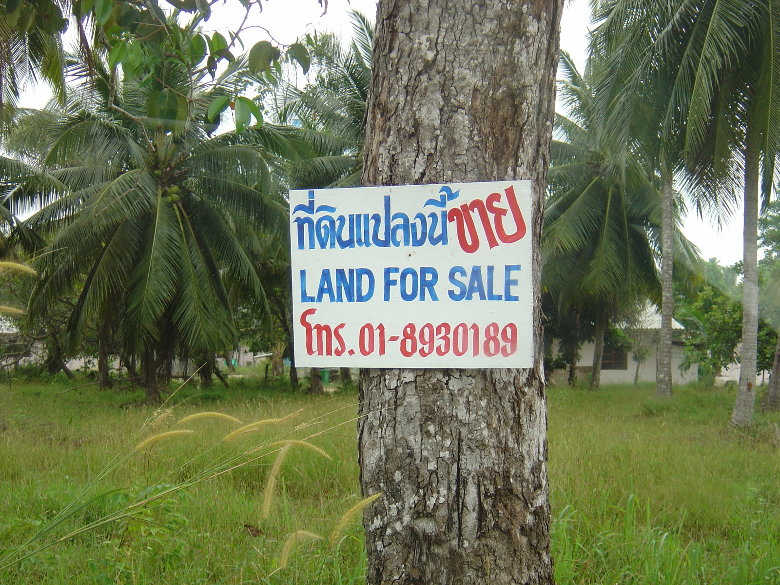 Picture Thailand Khao Lak Bang Sak Beach 2005-12 15 - Travels Bang Sak Beach