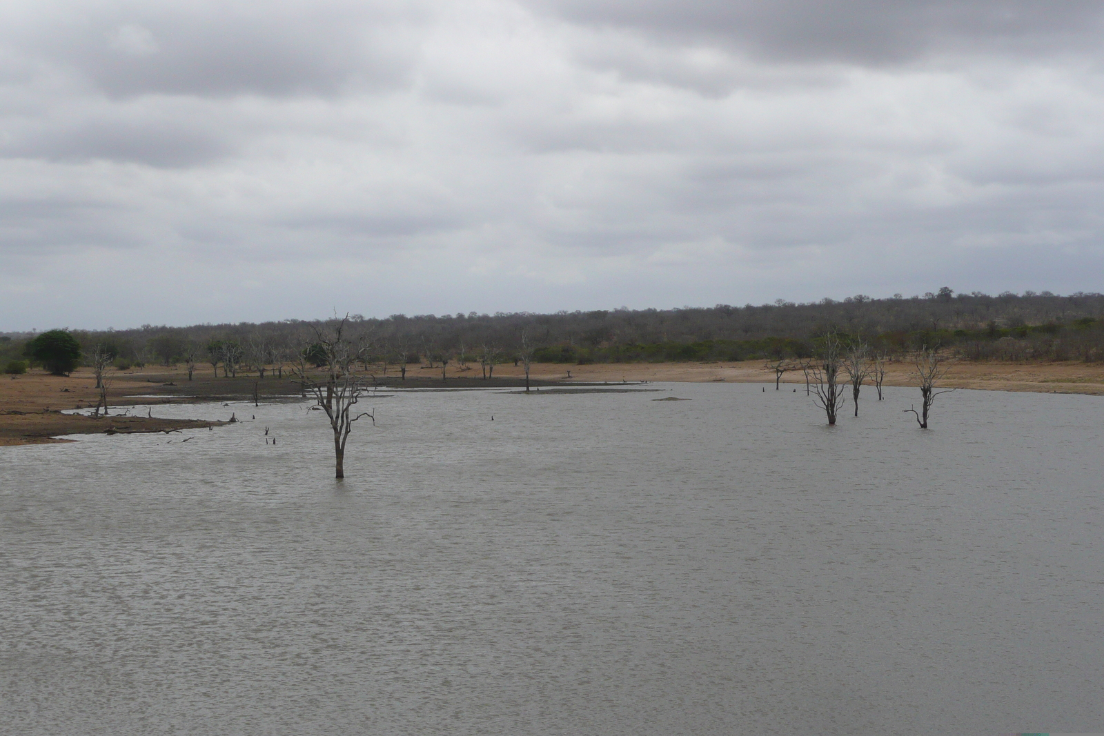 Picture South Africa Kruger National Park Mpondo 2008-09 15 - Flights Mpondo