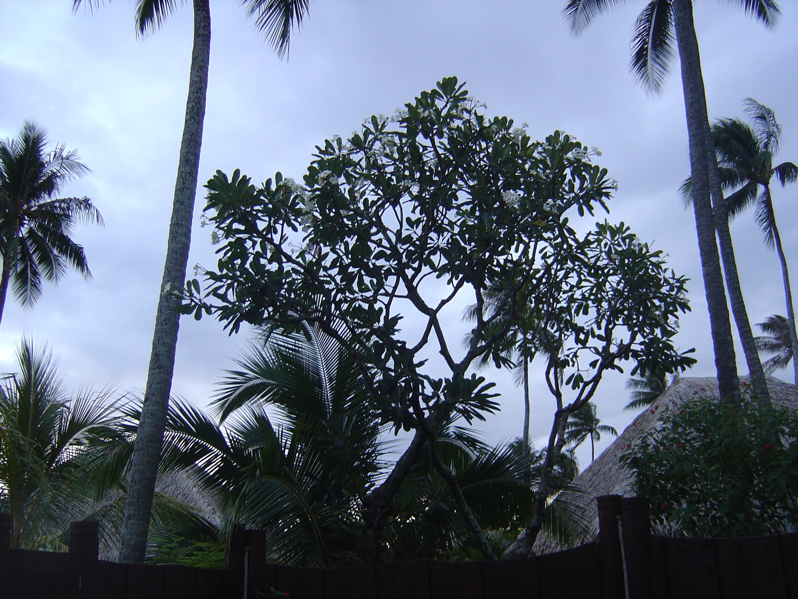 Picture Polynesia Moorea Pearl Resort Hotel 2006-04 1 - Sight Pearl Resort Hotel