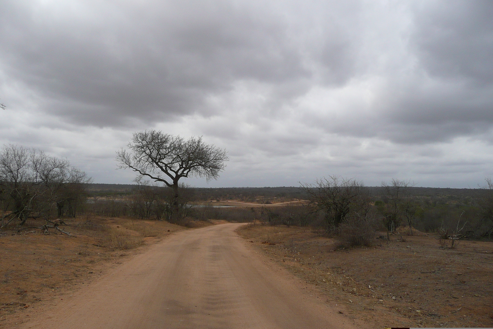 Picture South Africa Kruger National Park Mpondo 2008-09 25 - Car Mpondo