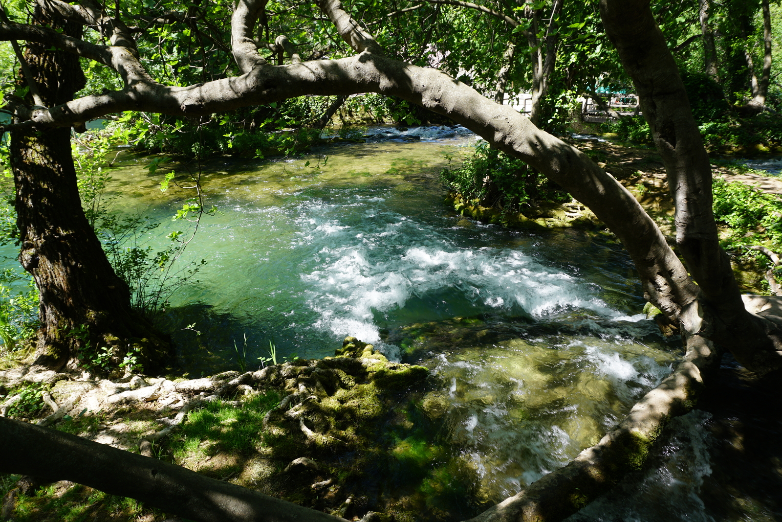 Picture Croatia Krka National Park 2016-04 89 - View Krka National Park