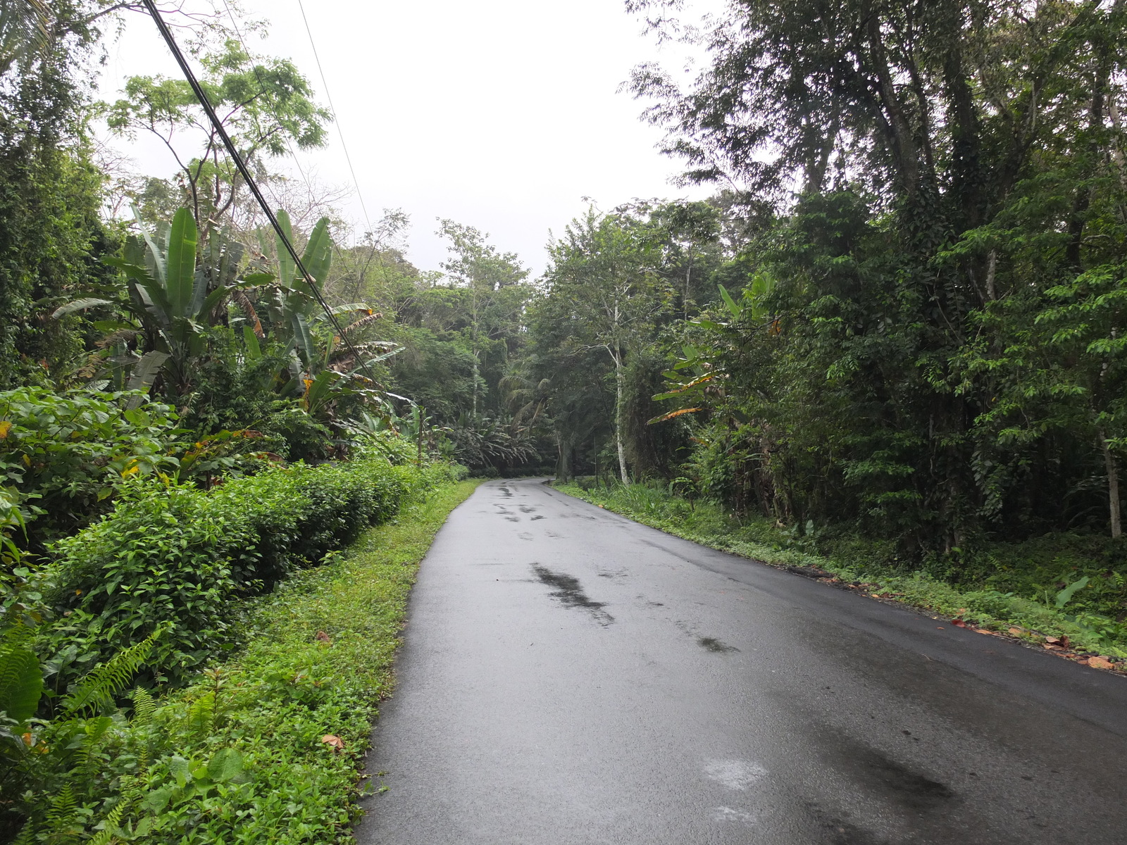 Picture Costa Rica Puerto Viejo de Talamanca 2015-03 24 - Journey Puerto Viejo de Talamanca