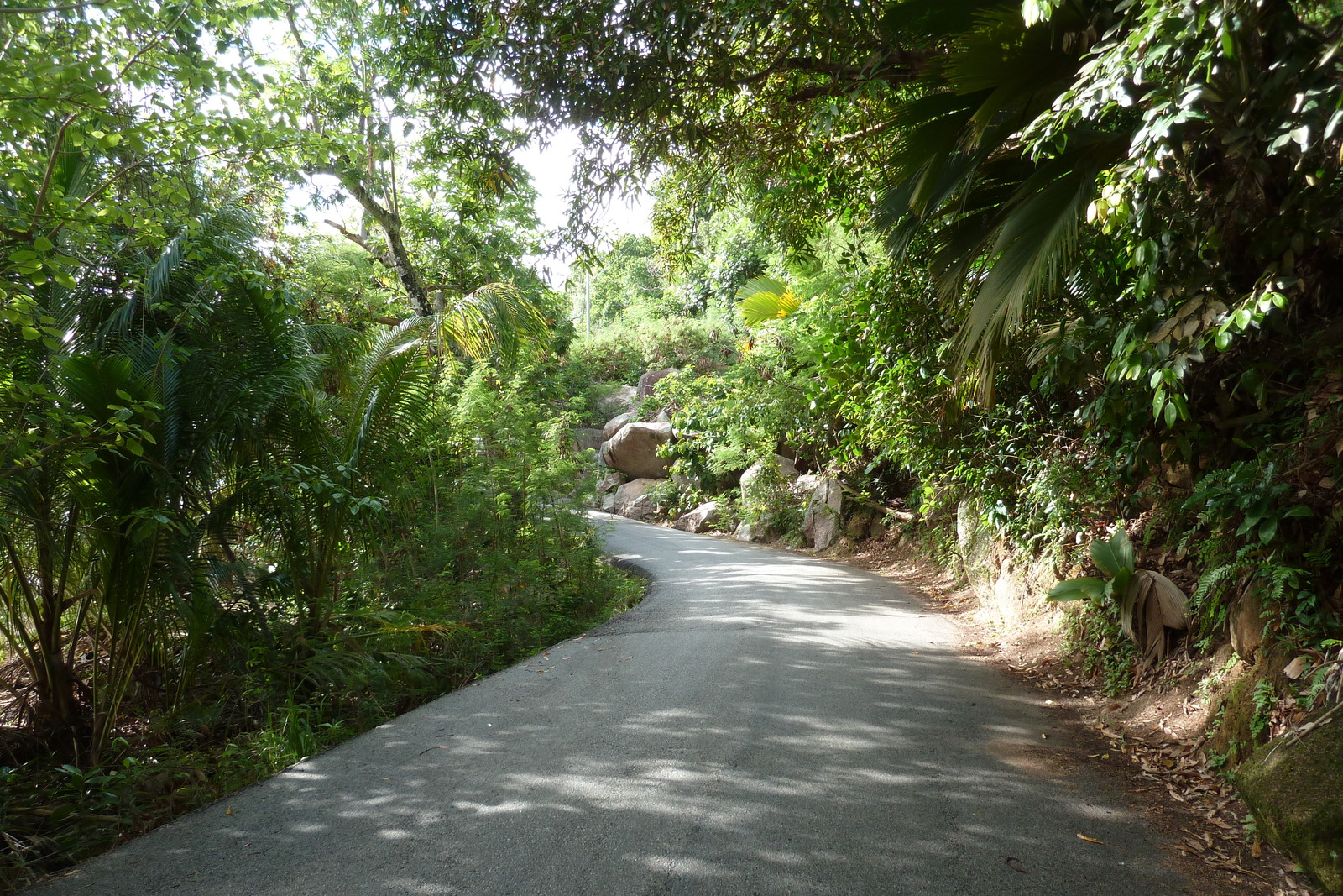 Picture Seychelles Praslin 2011-10 27 - Sight Praslin