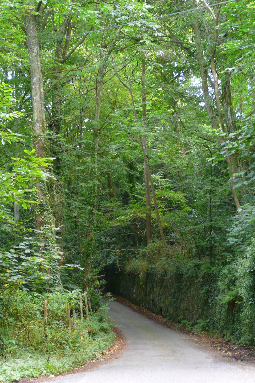 Picture France Brittany roads 2007-08 6 - Views Brittany roads