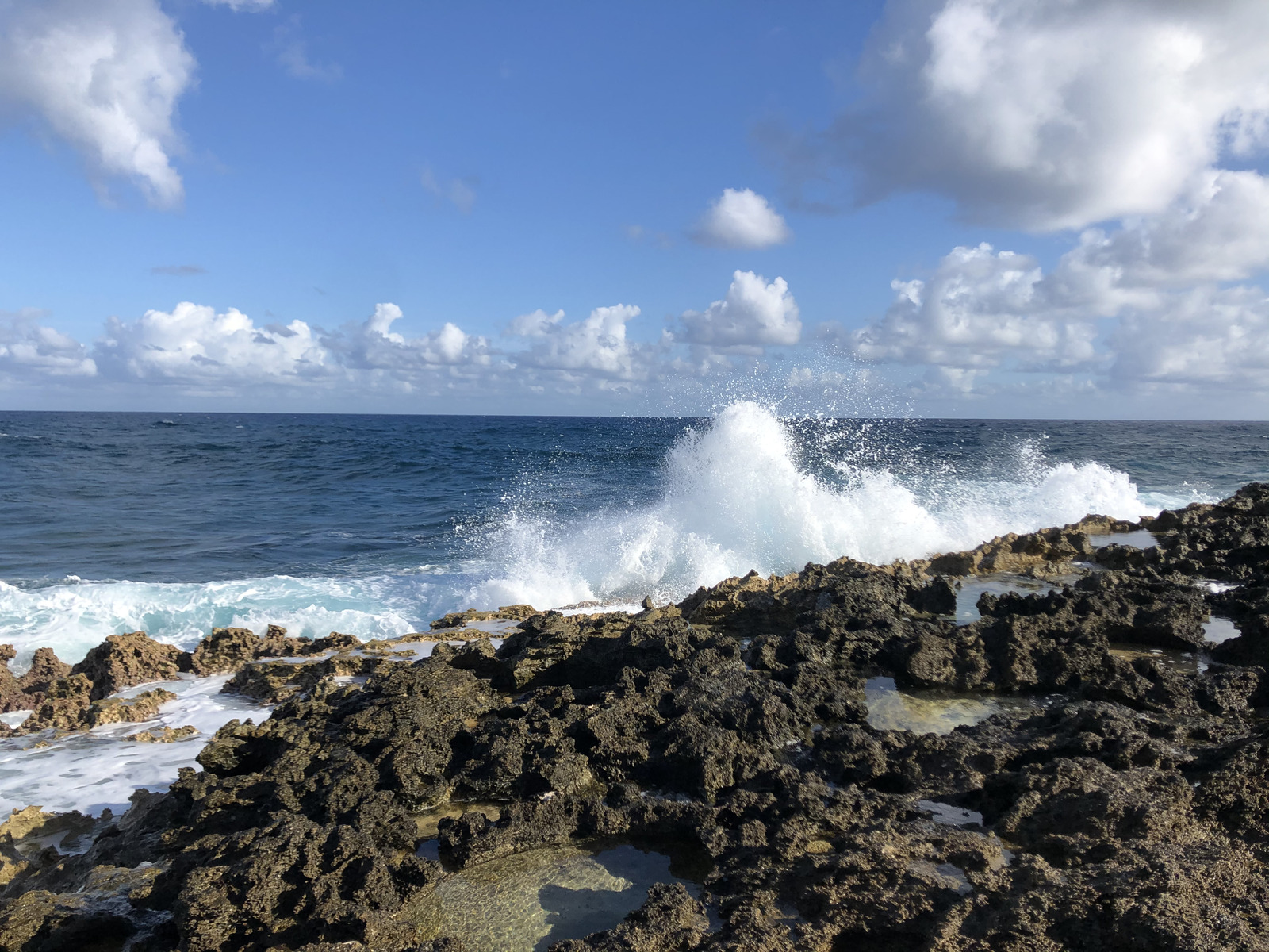 Picture Guadeloupe Castle Point 2021-02 190 - Visit Castle Point