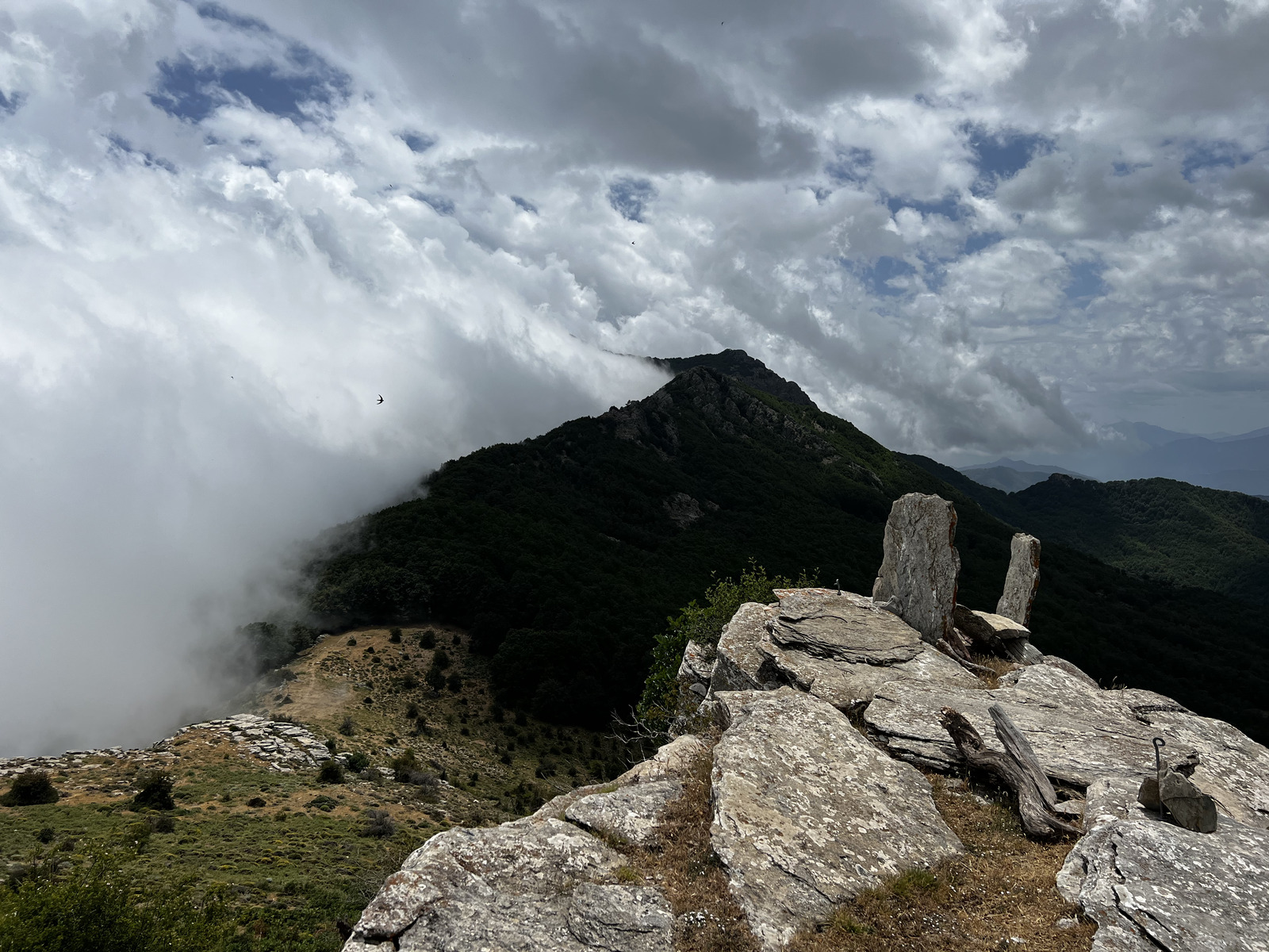 Picture France Corsica Refuge de Callerucciu 2022-06 20 - Sightseeing Refuge de Callerucciu