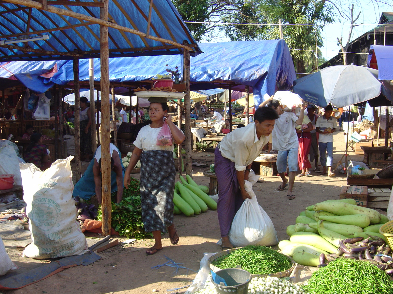 Picture Myanmar Myeik (Mergui) 2005-01 149 - Sightseeing Myeik (Mergui)