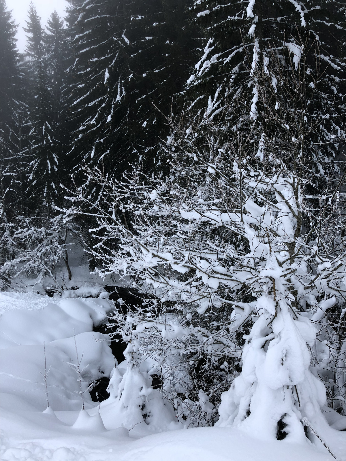 Picture France La Clusaz 2017-12 299 - Photographers La Clusaz