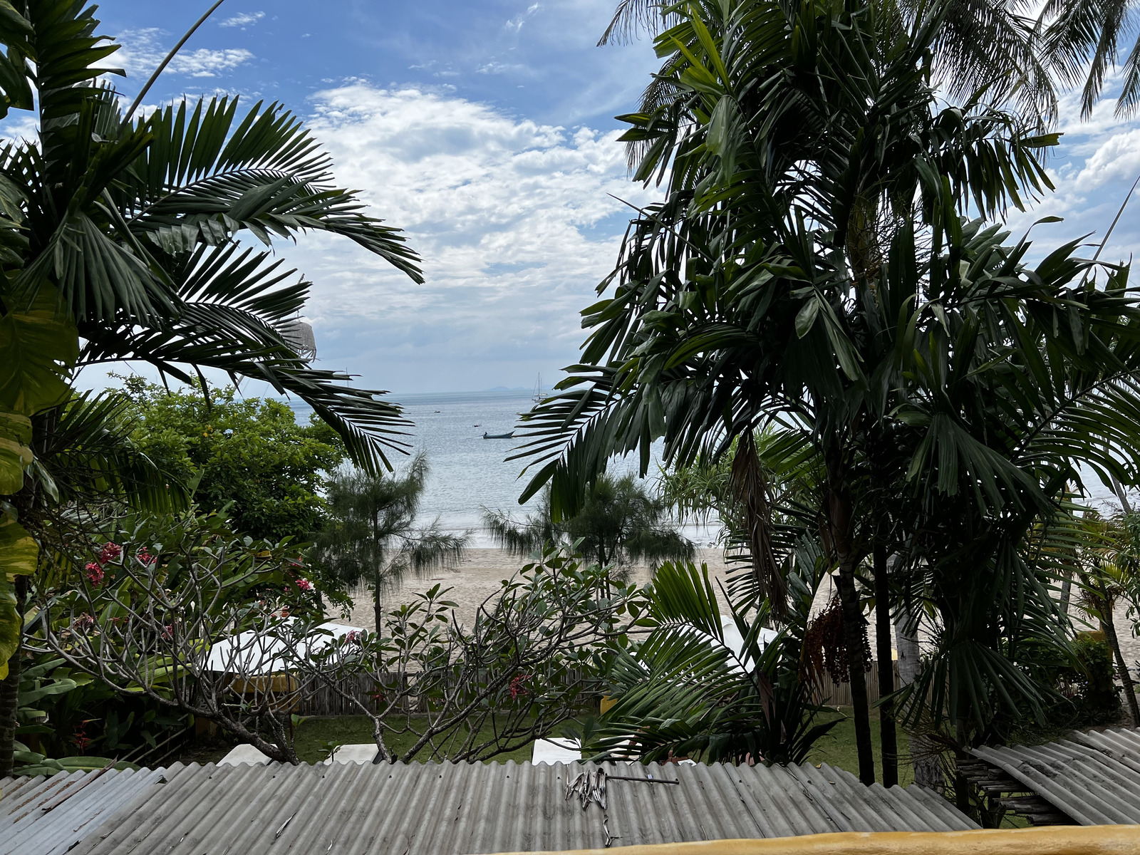 Picture Thailand Ko Lanta 2023-01 270 - Picture Ko Lanta