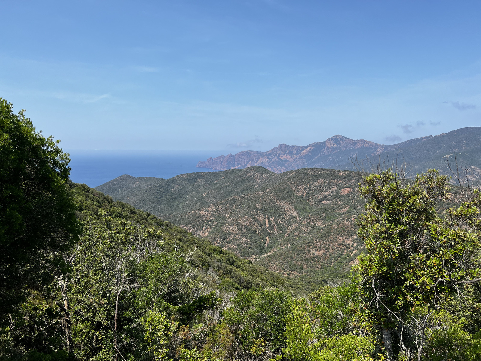 Picture France Corsica Osani 2023-06 3 - View Osani