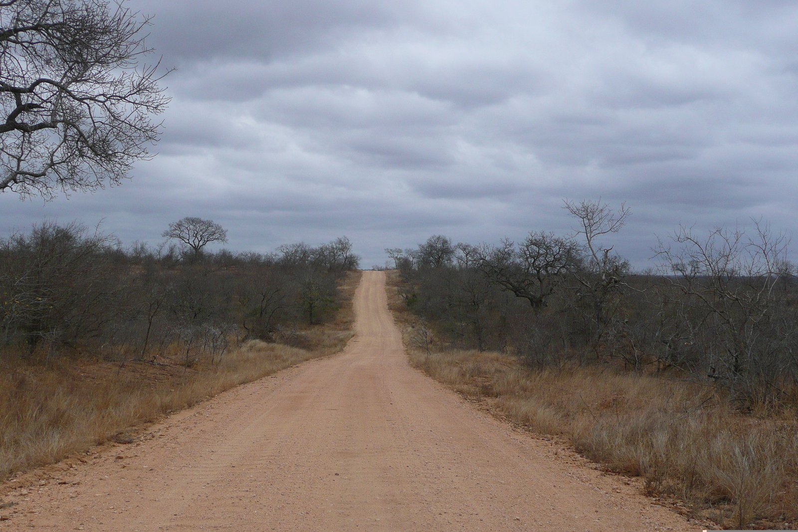 Picture South Africa Kruger National Park 2008-09 61 - Car Kruger National Park