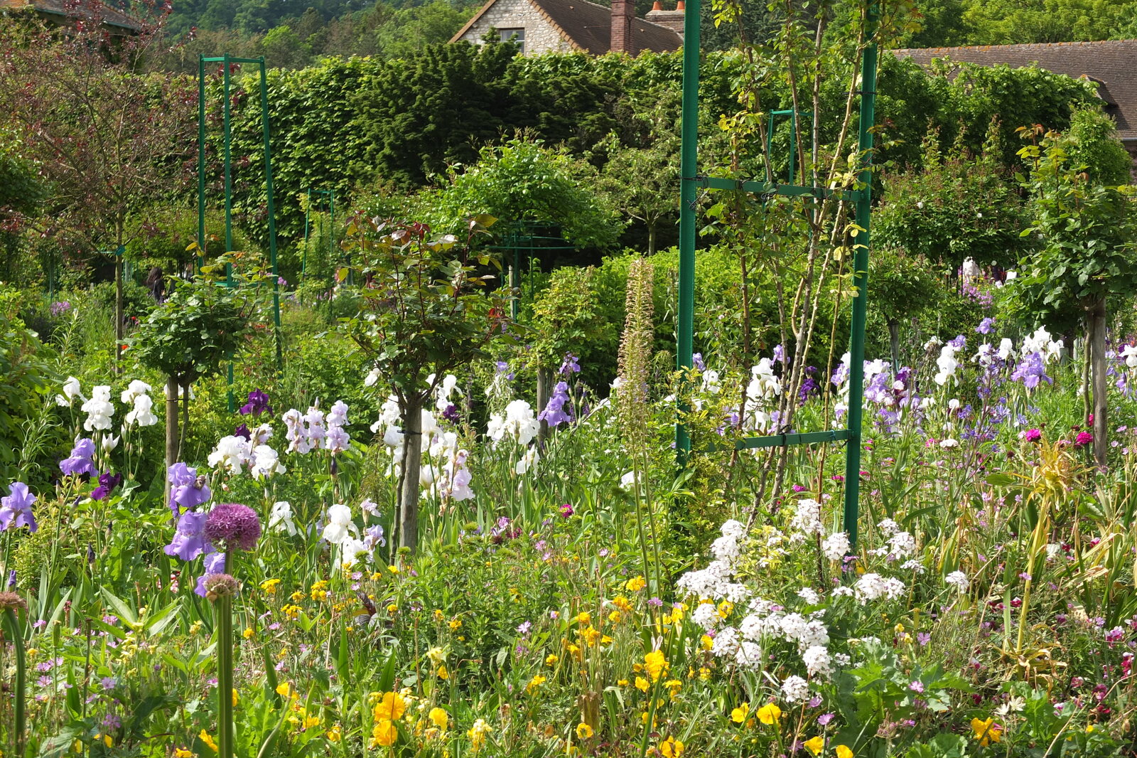 Picture France Giverny 2013-06 86 - Visit Giverny