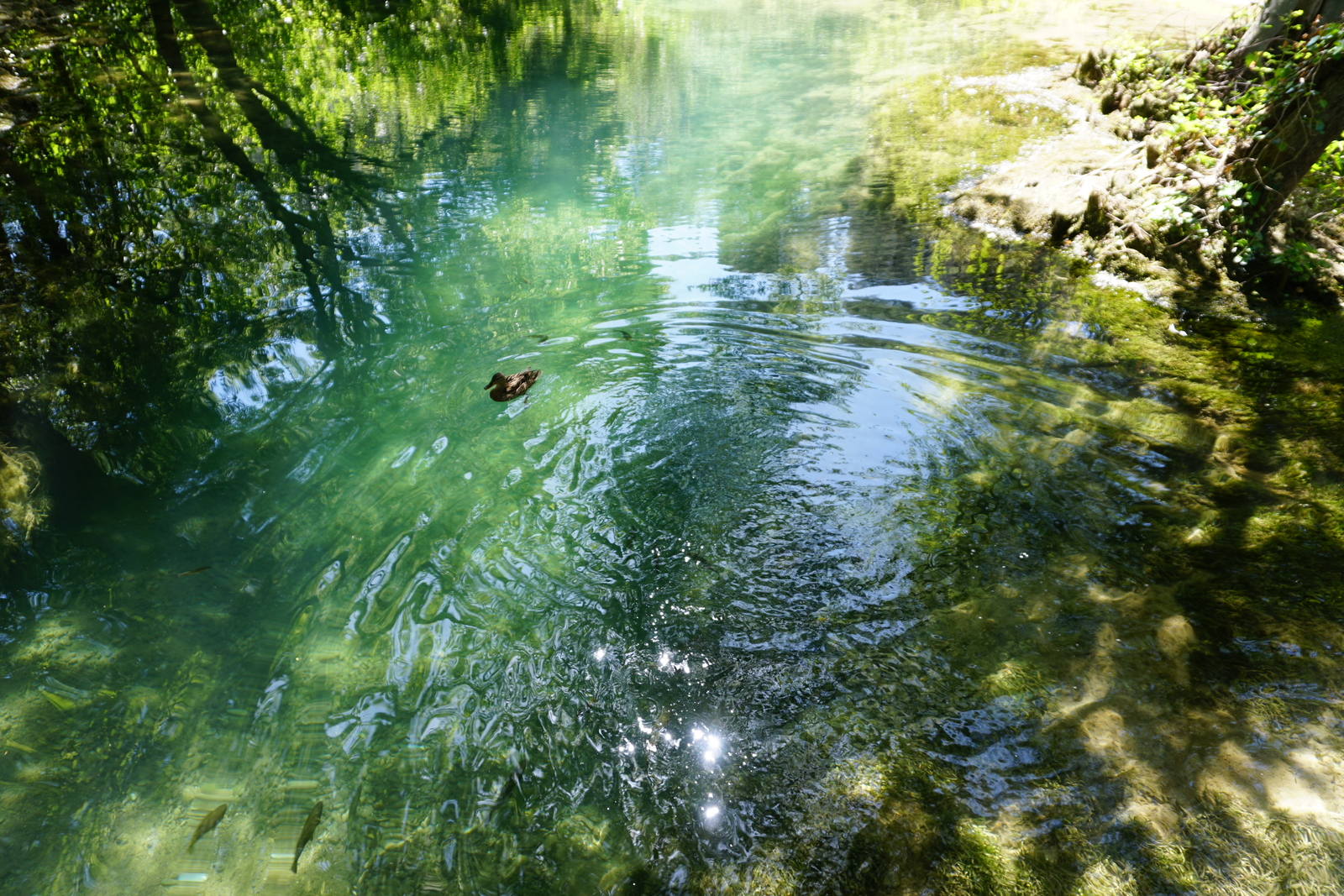 Picture Croatia Krka National Park 2016-04 87 - Perspective Krka National Park