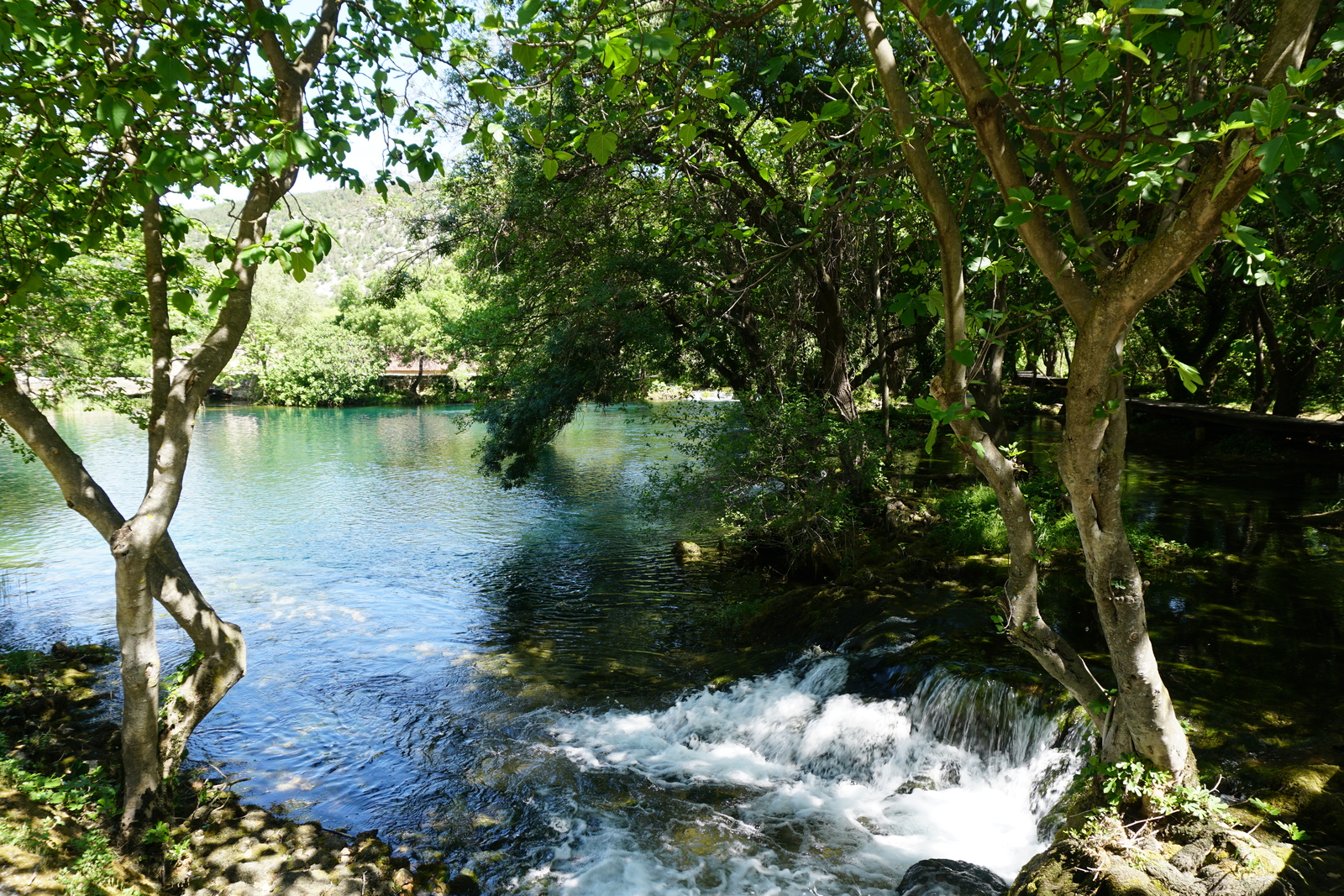 Picture Croatia Krka National Park 2016-04 91 - Flight Krka National Park