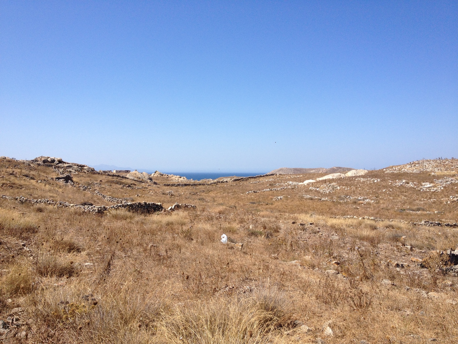 Picture Greece Delos 2014-07 166 - Photographers Delos