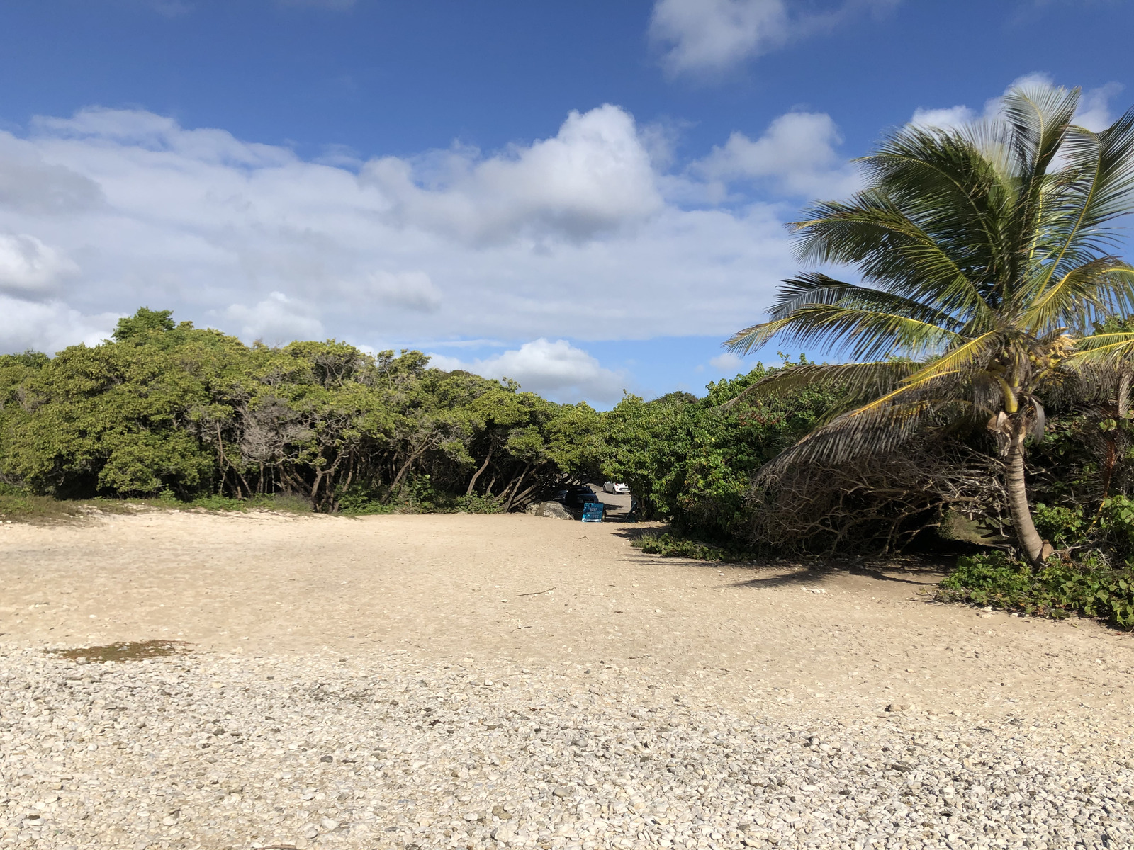 Picture Guadeloupe Sainte Anne 2021-02 113 - Discover Sainte Anne