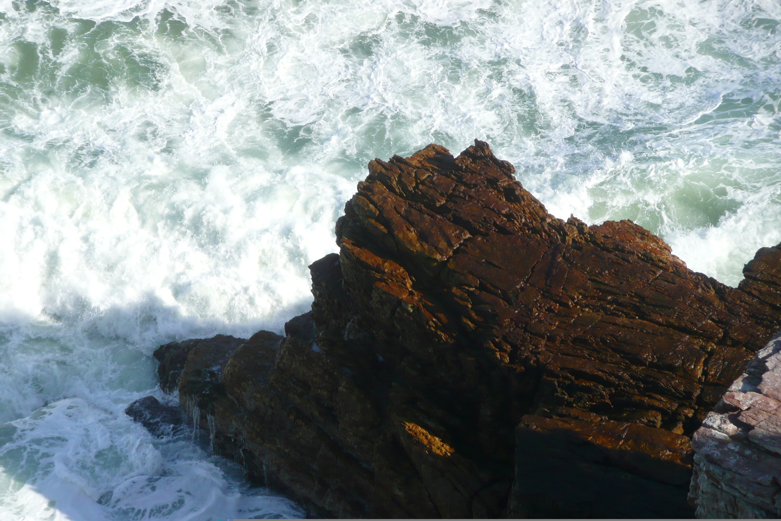 Picture South Africa Cape of Good Hope Cape Point 2008-09 9 - Discover Cape Point