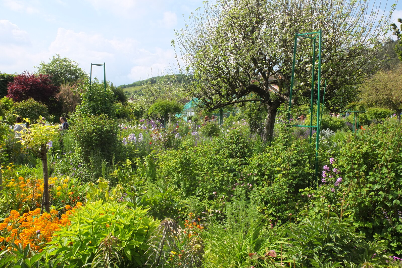 Picture France Giverny 2013-06 74 - Photographer Giverny