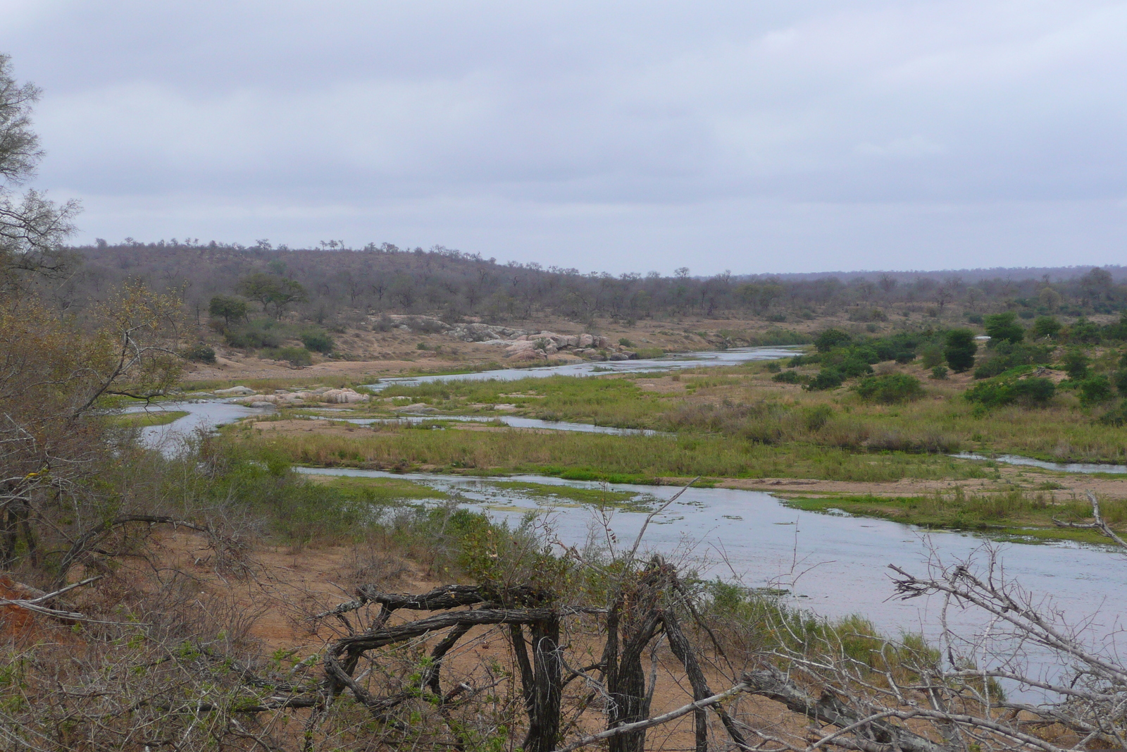 Picture South Africa Kruger National Park Crocodile River 2008-09 54 - Photos Crocodile River