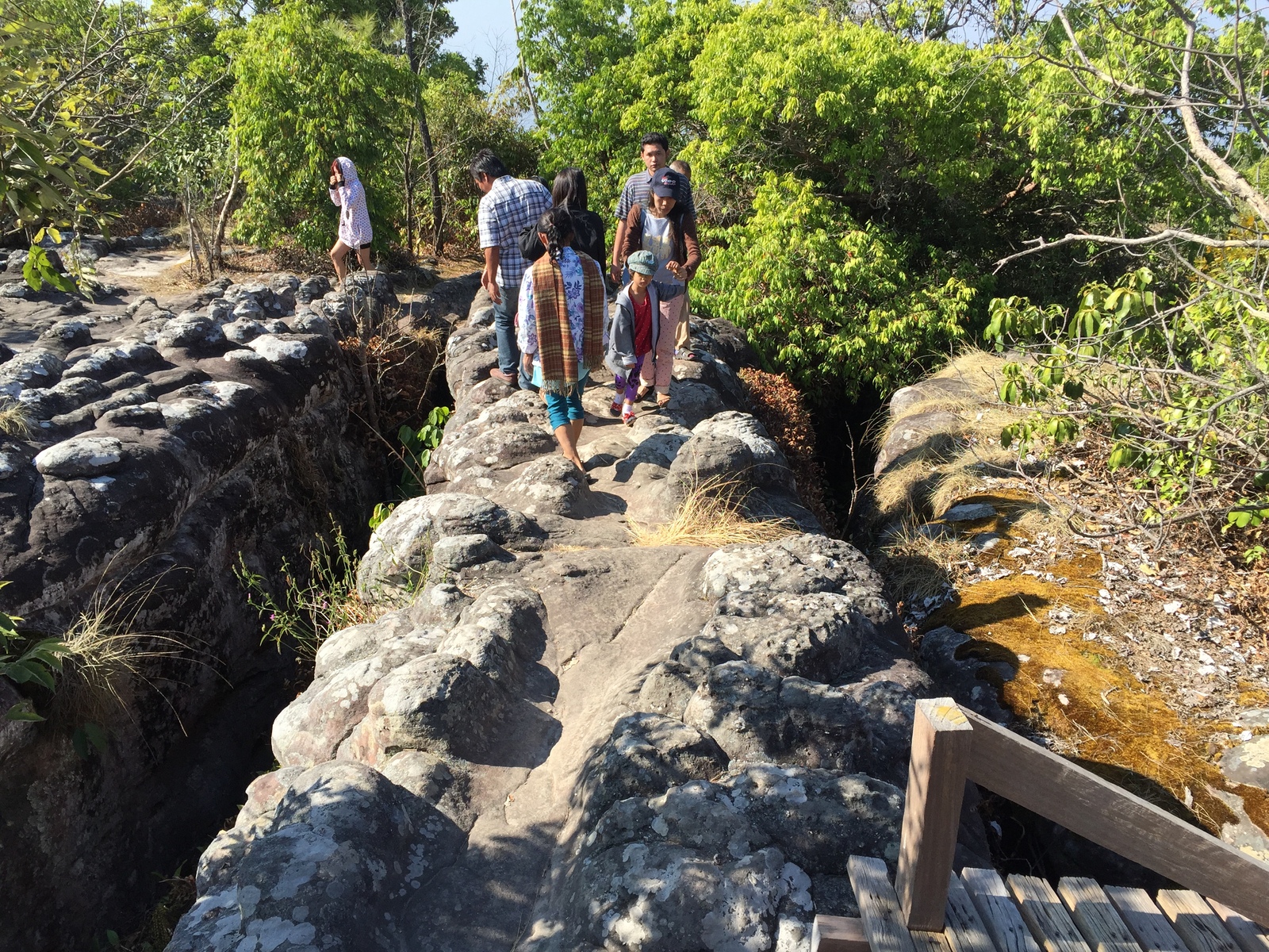 Picture Thailand Phu Hin Rong Kla National Park 2014-12 289 - Picture Phu Hin Rong Kla National Park