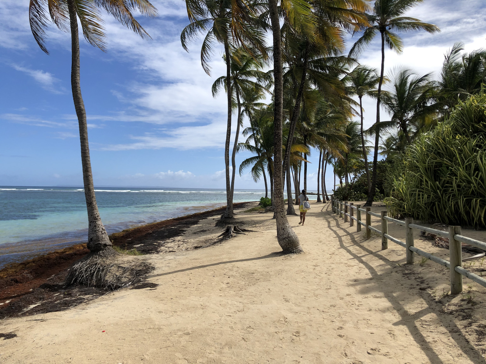 Picture Guadeloupe La Caravelle Beach 2021-02 6 - Photographers La Caravelle Beach