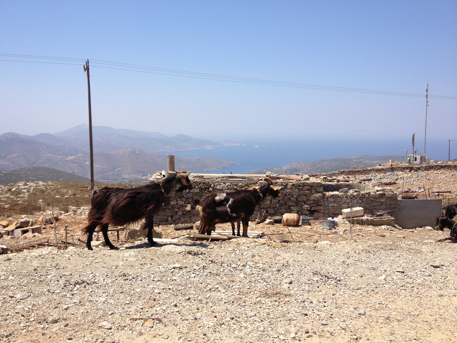 Picture Greece Amorgos 2014-07 309 - View Amorgos